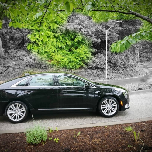 56977106_446303506118479_1334682227694981285_n